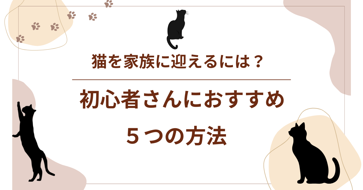 猫を家族に迎えるには?初心者向け5つの方法を紹介